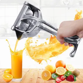 Fruit juice press in steel - robust and practical