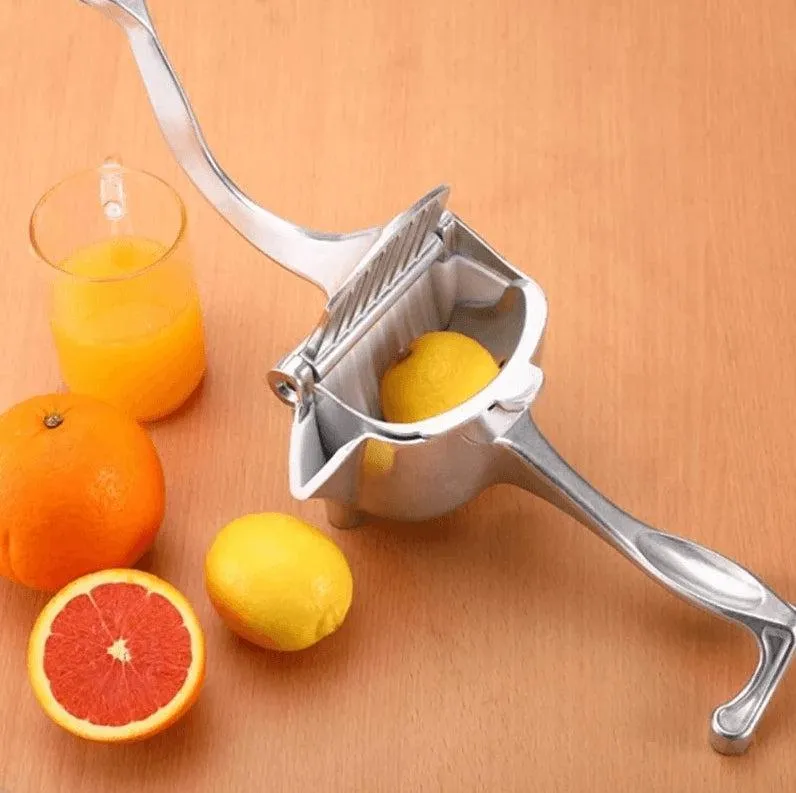 Fruit juice press in steel - robust and practical