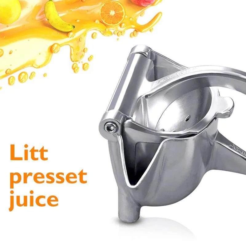 Fruit juice press in steel - robust and practical