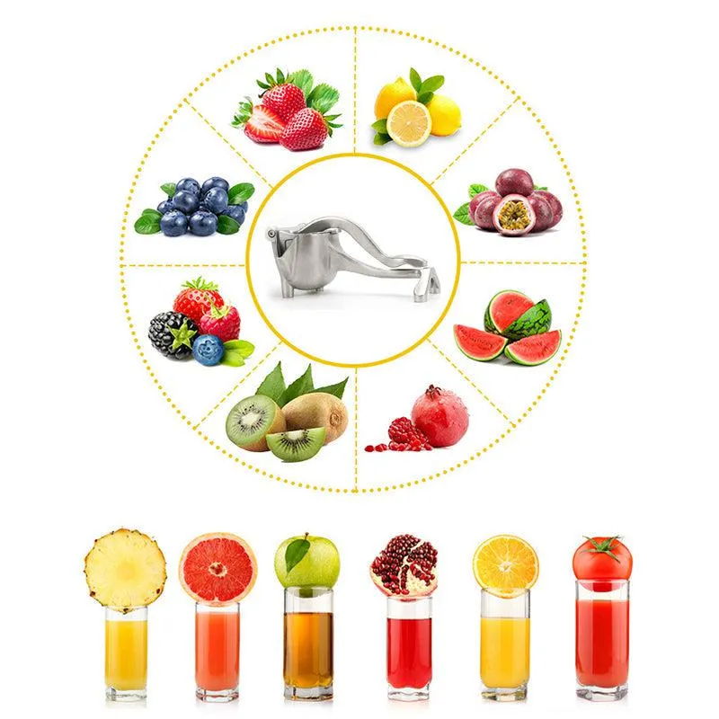 Fruit juice press in steel - robust and practical