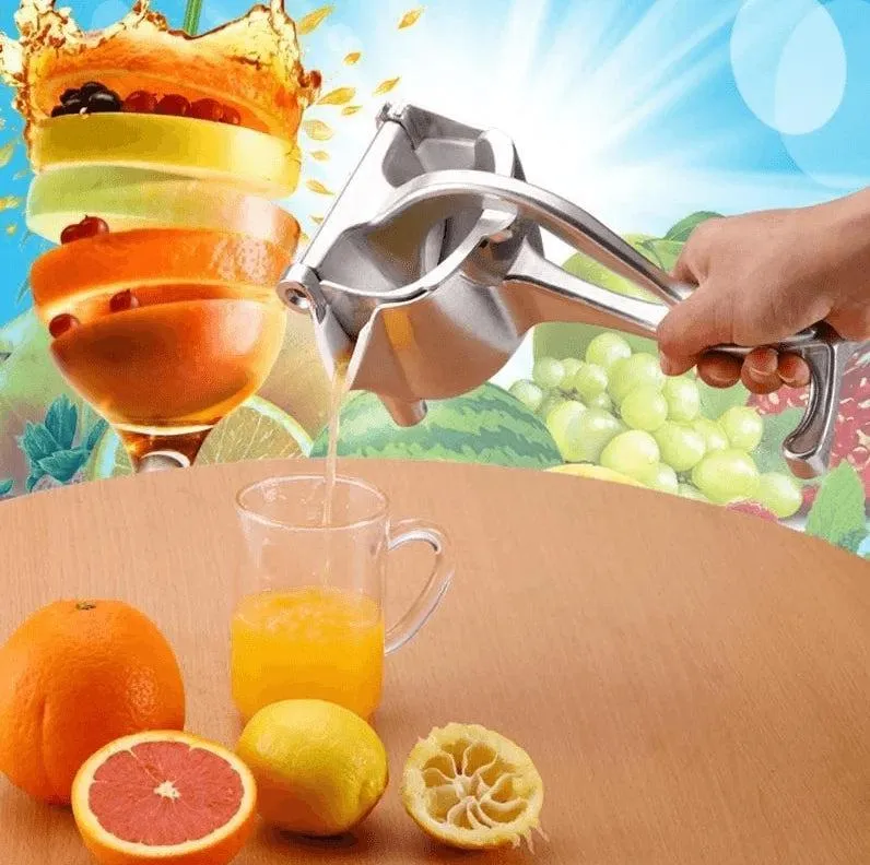 Fruit juice press in steel - robust and practical