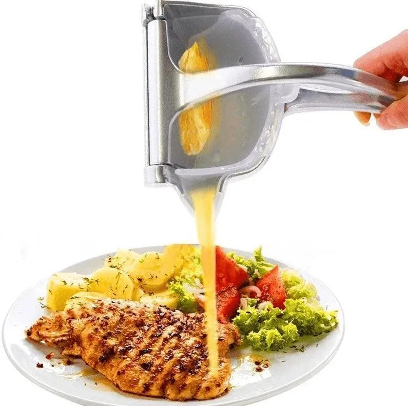 Fruit juice press in steel - robust and practical