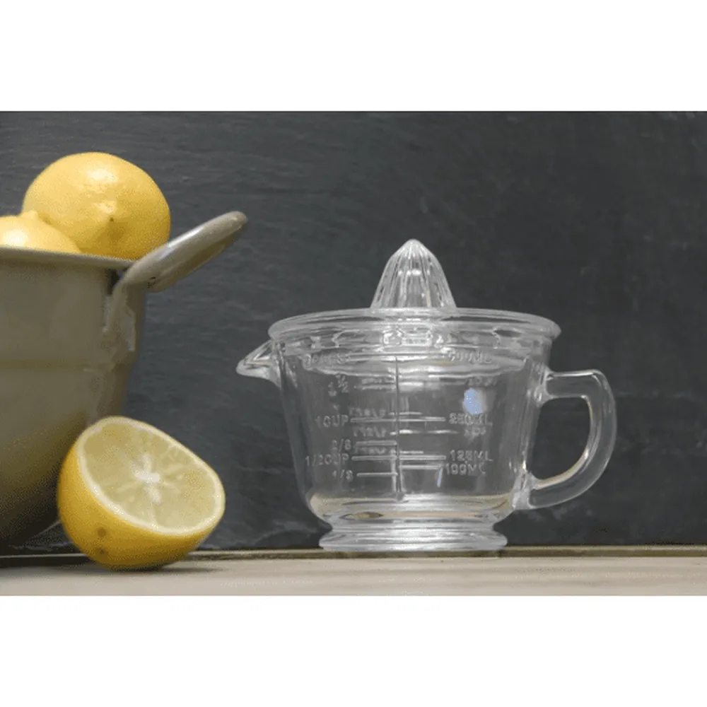 Glass Citrus Juicer and Measuring Jug