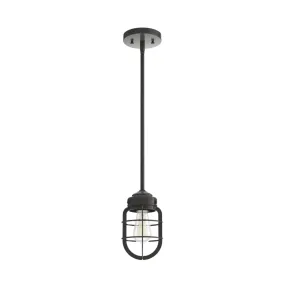 Hunter Starklake 1 Light Mini Pendant in Noble Bronze