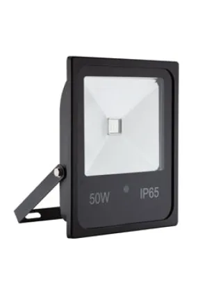 LED 50w Floodlight Black RGB & Remote