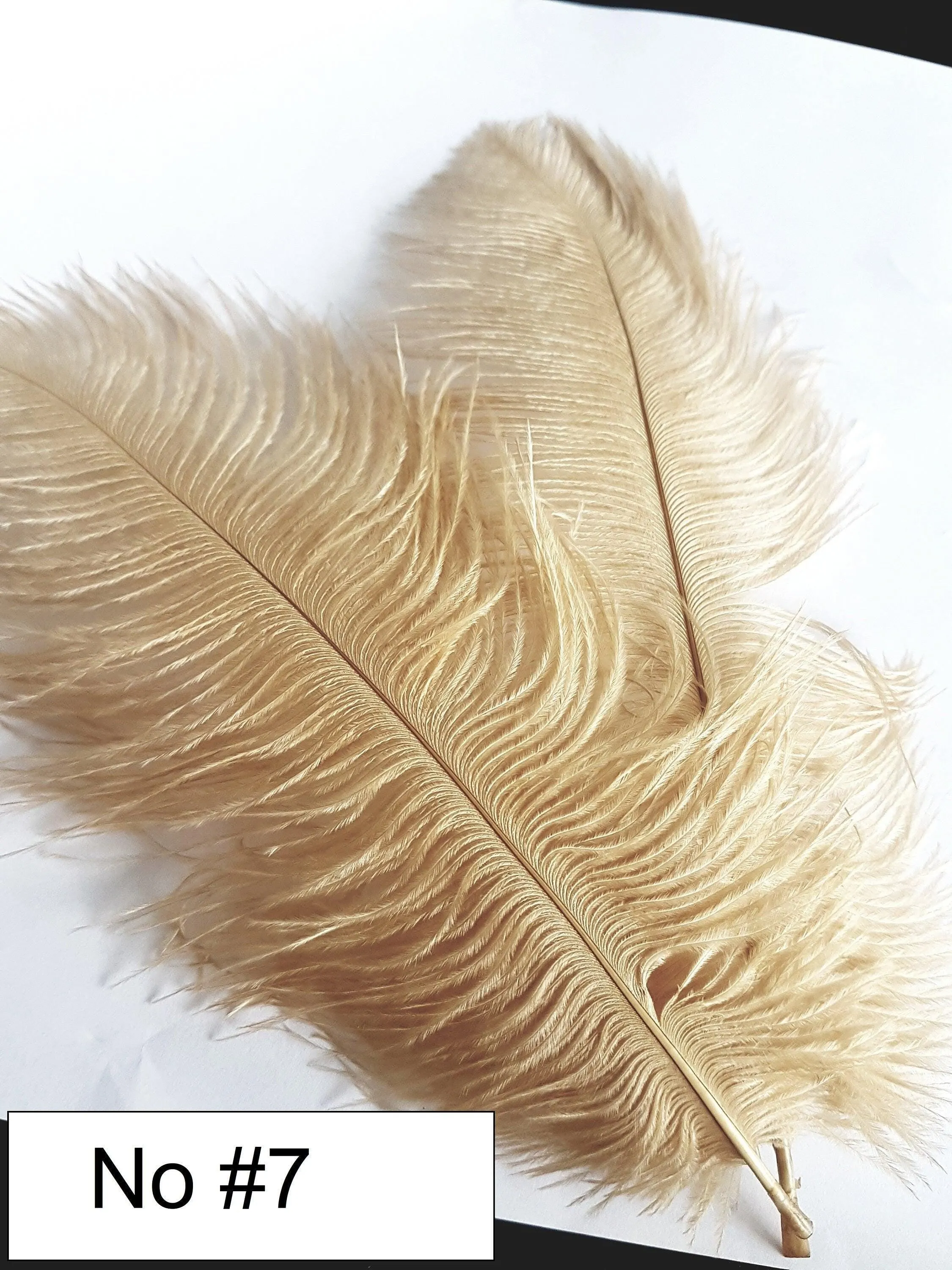 Matron of Honour Feather 12in Fan, brooch bouquet, Alternative Bouquet artificial by Crystal wedding uk