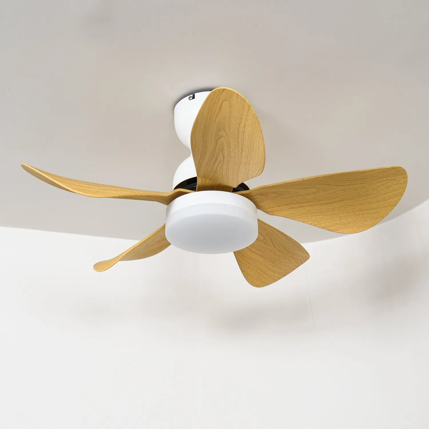 Small Arilia 29" Ceiling Fan Light