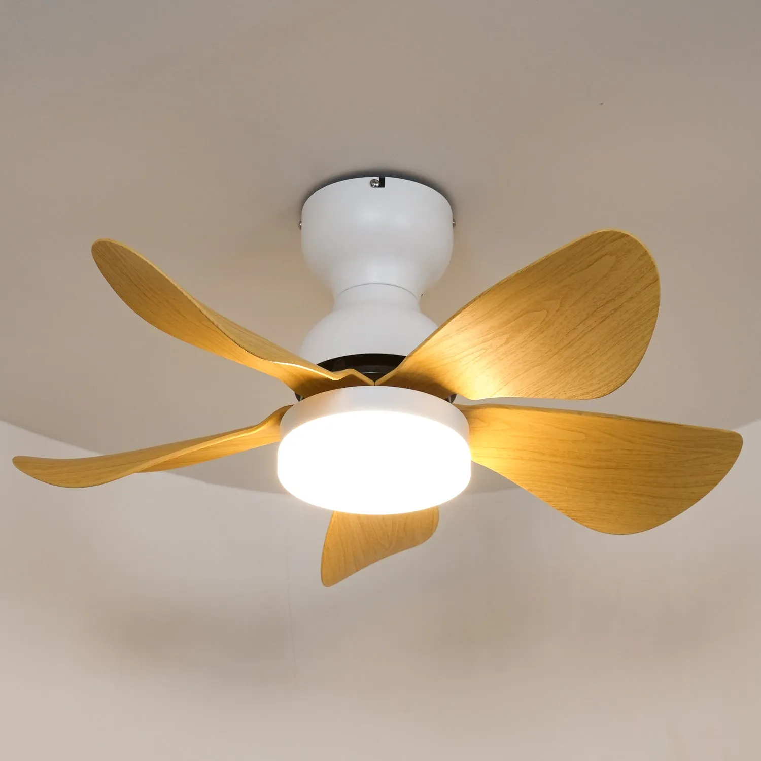 Small Arilia 29" Ceiling Fan Light