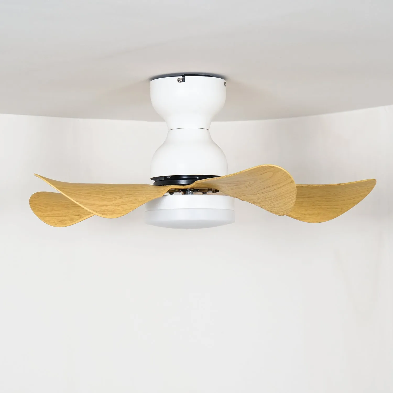 Small Arilia 29" Ceiling Fan Light