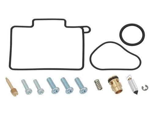 Suzuki Carburetor Repair Kit