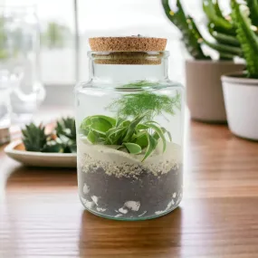 Terrarium Bottle Shape Medium Kit