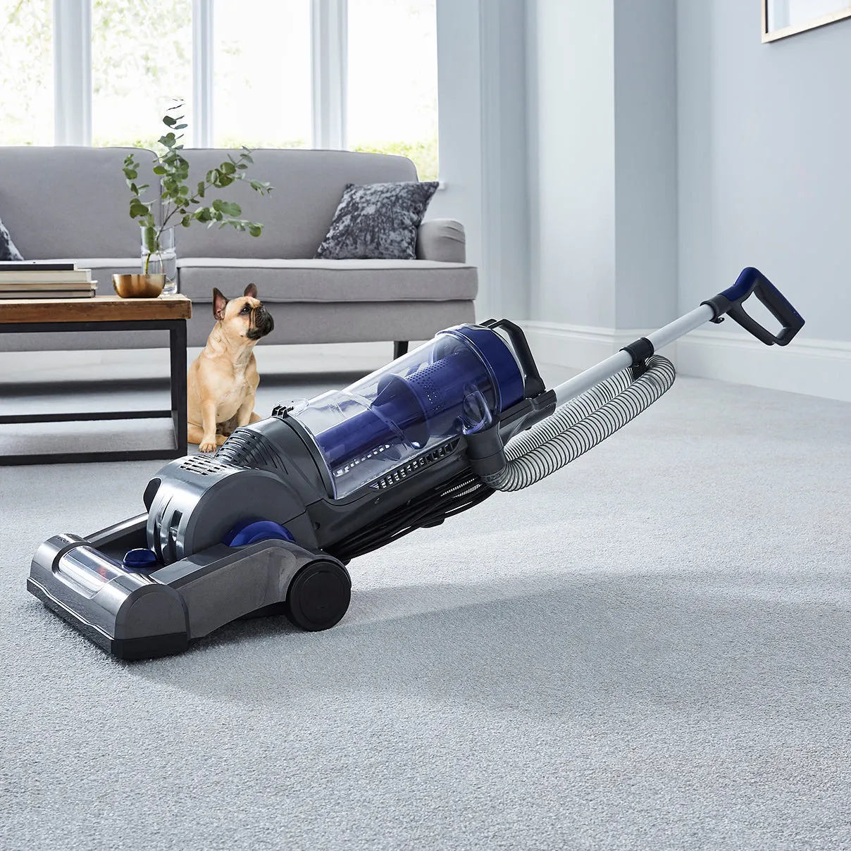 Tower TXP30PET Bagless Pet Upright Vacuum Cleaner - Blue